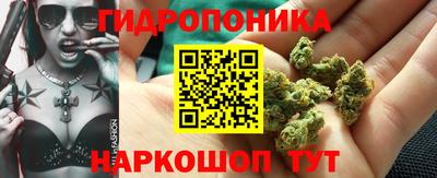 мяу мяу мука Пушкино