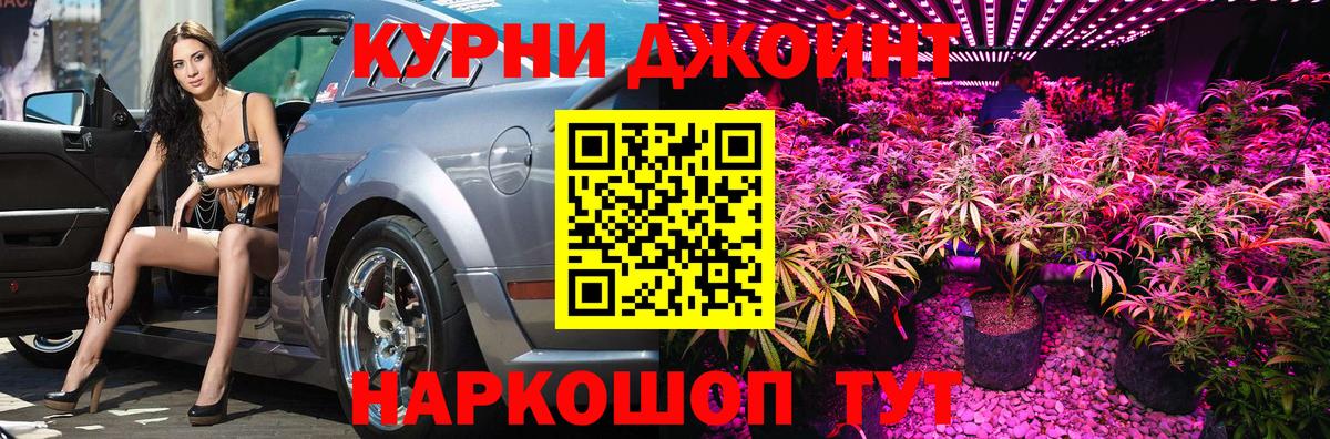 Бошки Шишки семена Геленджик
